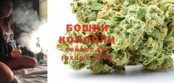 винт Гусиноозёрск