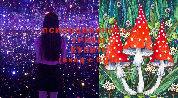 винт Гусиноозёрск