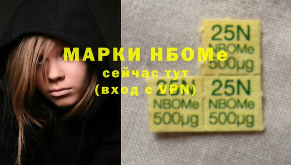 соль ск Гусев