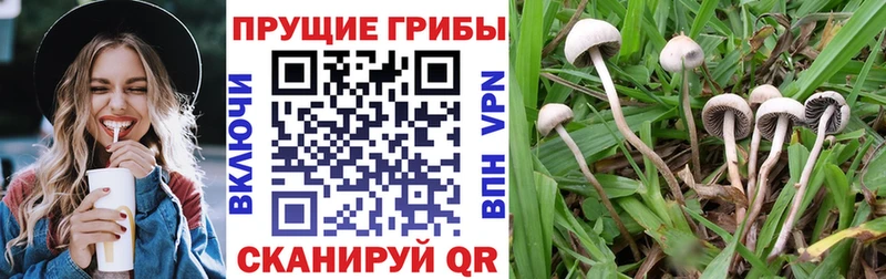 Галлюциногенные грибы прущие грибы  продажа наркотиков  Балашиха 